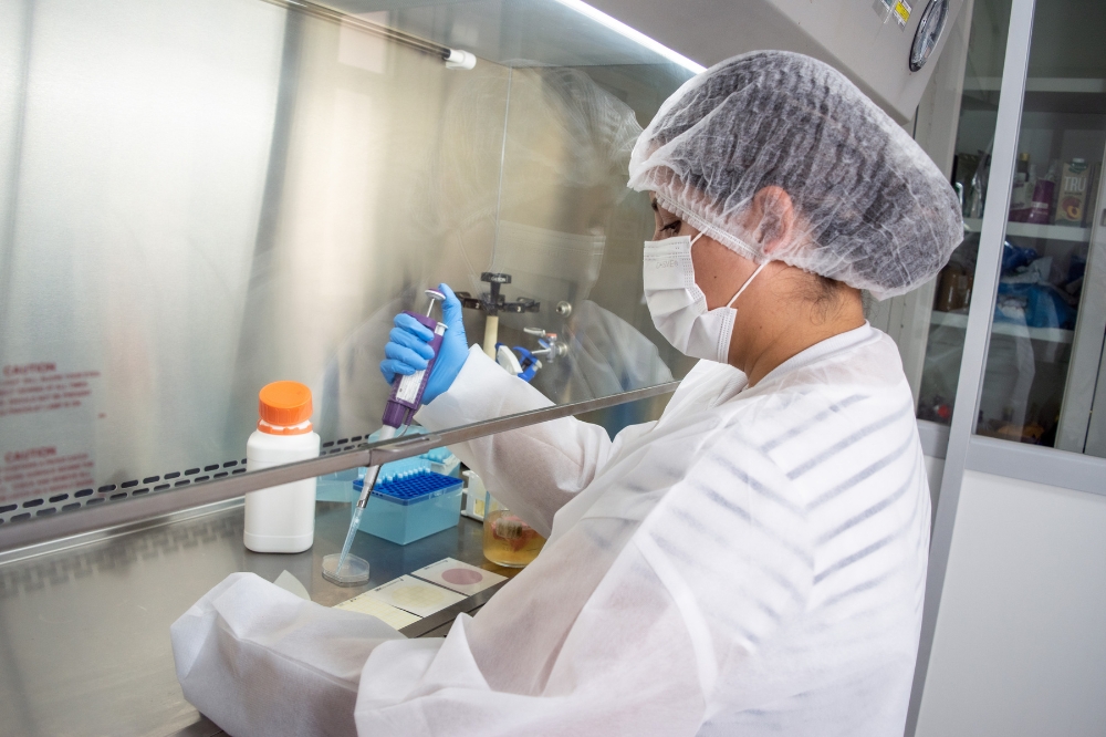 Análisis de Productos Cosméticos y Productos Higiénicos